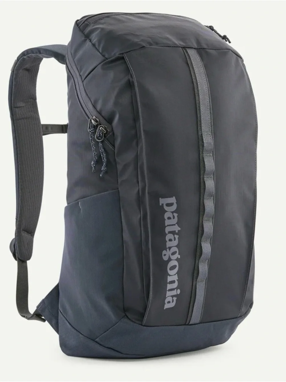 Patagonia Black hole pack 25L